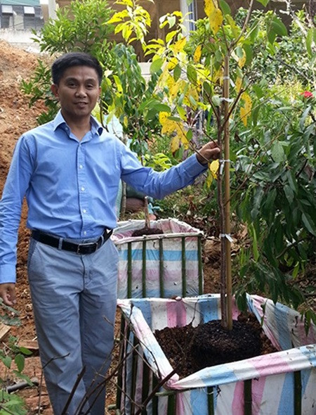 Yoshino cherry comes to Da Lat ảnh 1 Yoshino cherry comes to Da Lat ảnh 1