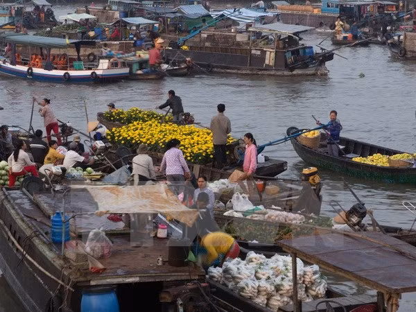 Can Tho to fix up floating market ảnh 1