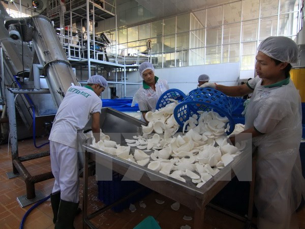 Mekong River Delta enterprises prepare for TPP ảnh 1