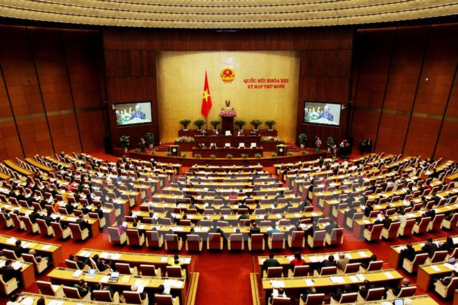 General elections, electoral council, Civil Code approved ảnh 1