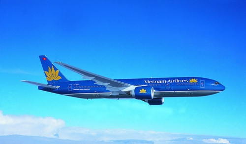 Vietnam Airlines domestic market share plummets ảnh 1