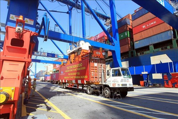 Container cargo via seaports sees double-digit growth ảnh 1