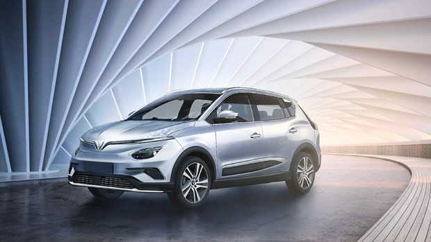 Ministry suggests registration fee for electric cars at half of that for fuel-run counterparts ảnh 1