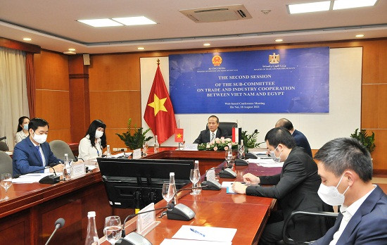 Vietnam, Egypt seek to beef up trade ties ảnh 1