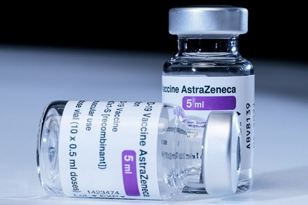 France, Hungary offer COVID-19 vaccines, rapid test kits to Vietnam ảnh 2 France, Hungary offer COVID-19 vaccines, rapid test kits to Vietnam ảnh 2
