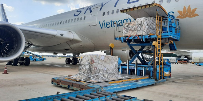 Over 203,000 rapid COVID-19 test kits donated by Germany arrive in HCM City ảnh 1 Over 203,000 rapid COVID-19 test kits donated by Germany arrive in HCM City ảnh 1