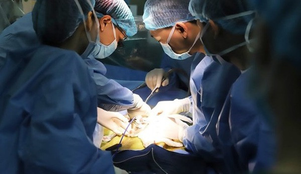 Vietnam successfully performs first liver transplant on child patient with late-stage cancer ảnh 1 Vietnam successfully performs first liver transplant on child patient with late-stage cancer ảnh 1