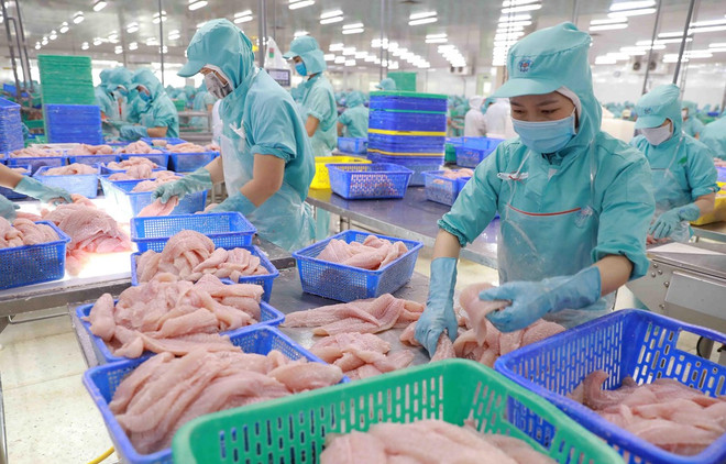 MoIT recognises 315 firms as prestigious exporters ảnh 1 MoIT recognises 315 firms as prestigious exporters ảnh 1