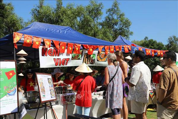 First Vietnam Pho Day opens in South Africa ảnh 1