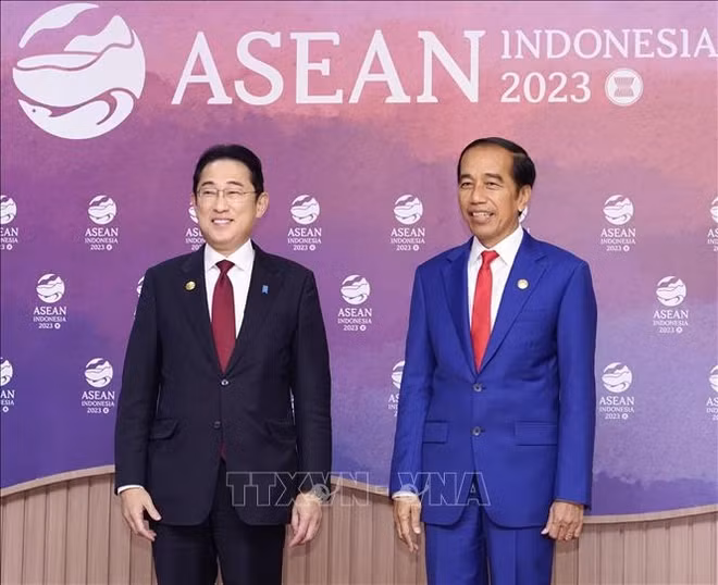 Indonesia, Japan to implement amended economic partnership agreement ảnh 1