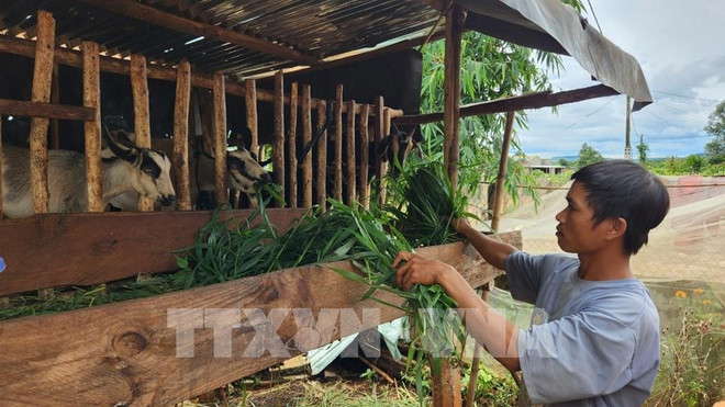 Multidimensional poverty rate to reduce to 2.93% at end of 2023 ảnh 1