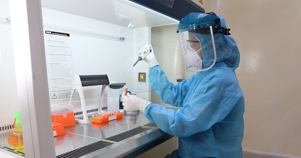 Int'l workshop on molecular diagnostics in microbiology, diseases held in Binh Dinh ảnh 1
