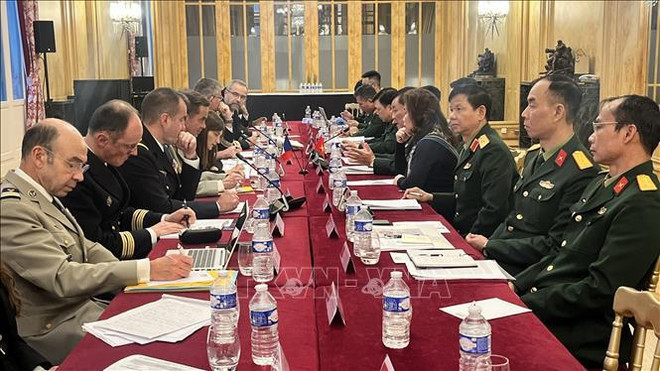 Vietnam, France hold defence strategy and cooperation dialogue ảnh 1