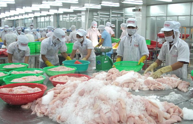 New Vietnamese companies reach record this year ảnh 1 New Vietnamese companies reach record this year ảnh 1