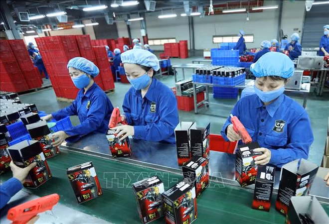 Number of new enterprises in Ca Mau surges ảnh 1