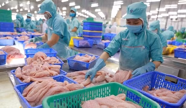Member of European Parliament highly values Vietnam’s stature ảnh 1
