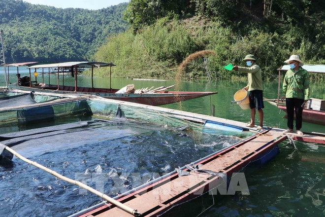 Agriculture accounts for 25% of total loan outstanding: SBV Governor ảnh 1