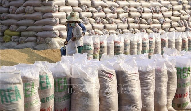 Vietnamese rice access choosy markets ảnh 1 Vietnamese rice access choosy markets ảnh 1