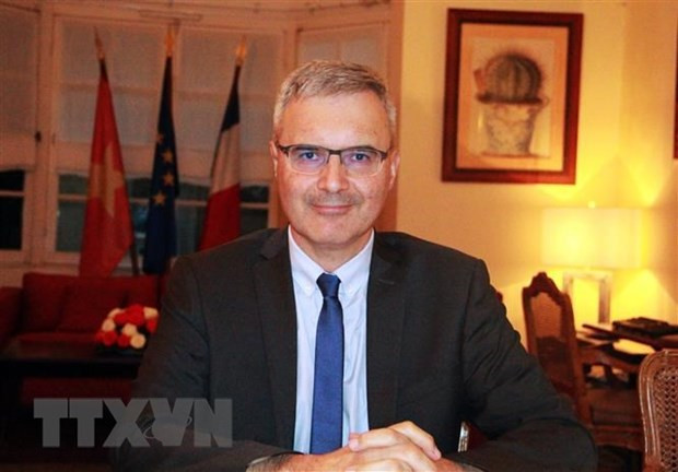 Vietnam - France relations growing in different spheres: Ambassador ảnh 1