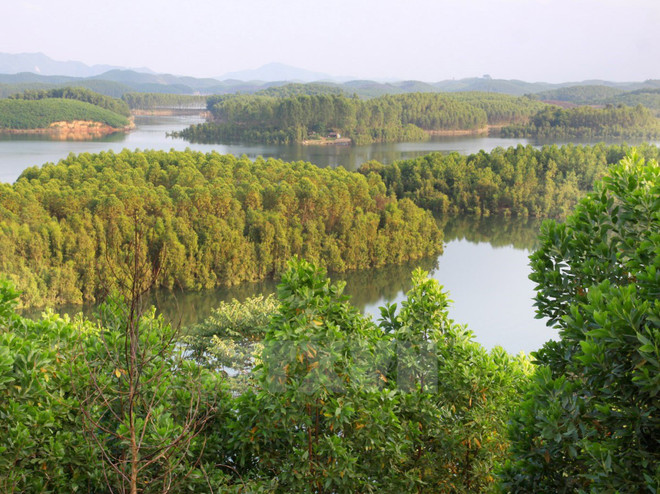 Foreign ambassadors tour Lam Dong province ảnh 1