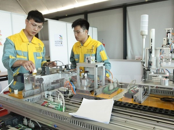 Profession-oriented higher education project under review ảnh 1