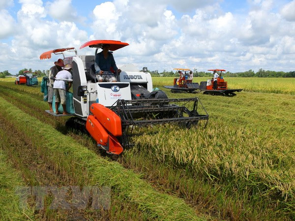 Can Tho sees strong economic performance in first half of 2018 ảnh 1