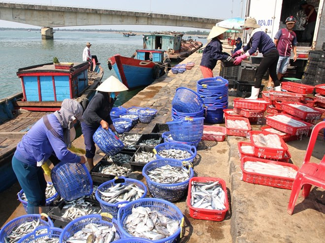 Agro-forestry-fishery posts highest GDP growth in decade ảnh 1 Agro-forestry-fishery posts highest GDP growth in decade ảnh 1