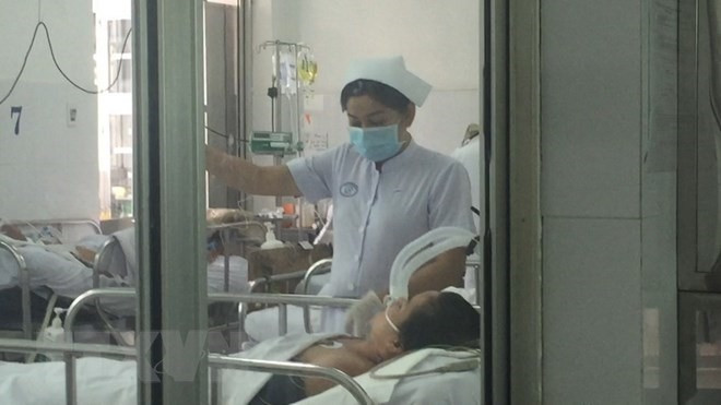 Swine flu causes another death in HCM City ảnh 1