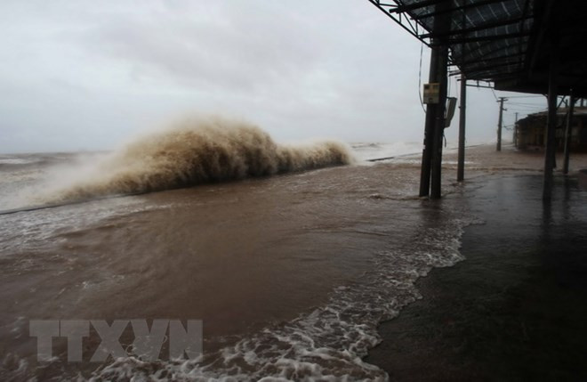 Training course on dyke protection, flood prevention ảnh 1