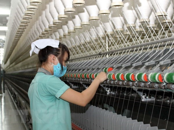 Textile industry expects high growth rate ảnh 1