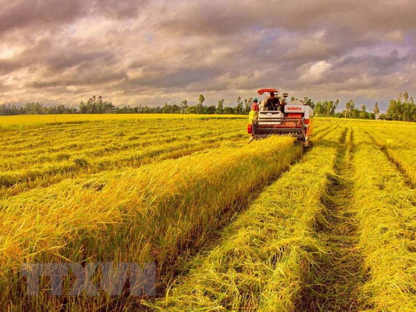 Growth may slow down towards year-end: GSO ảnh 1 Growth may slow down towards year-end: GSO ảnh 1