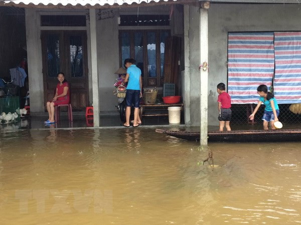 Government issues resolution on climate change adaptation ảnh 1