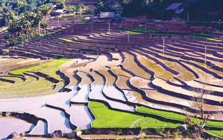 Mong village looks to become new Sapa ảnh 1