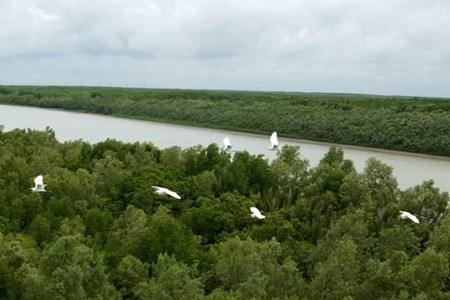 HCM City plans massive special economic zone ảnh 1