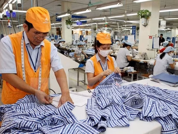 Low CPI increase energises economic growth: official ảnh 1