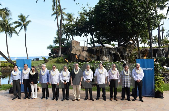 TPP talks in Atlanta make progress ảnh 1