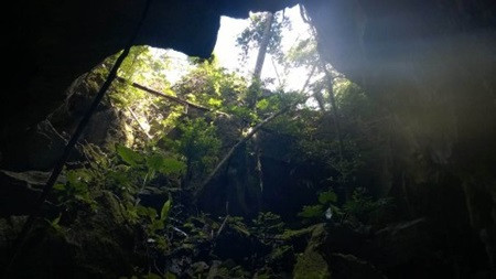 New cave discovered in Cha Noi forest ảnh 1 New cave discovered in Cha Noi forest ảnh 1