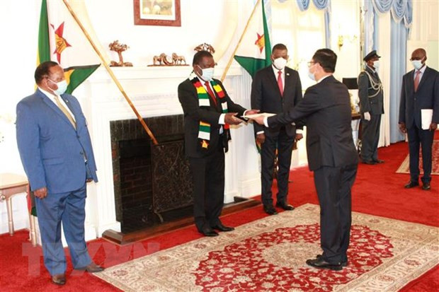 Zimbabwe wants to bolster multi-faceted collaboration with Vietnam: President ảnh 1