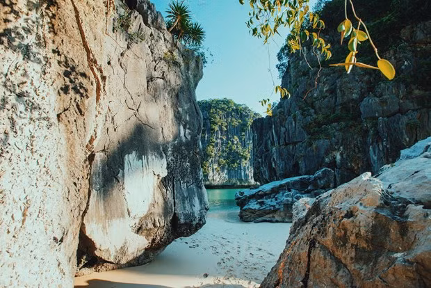 Localities work hard to welcome tourists back to Vietnam ảnh 1