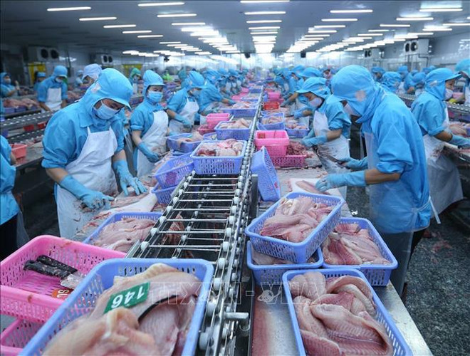Seafood export takes larger bite out of foreign markets ảnh 1