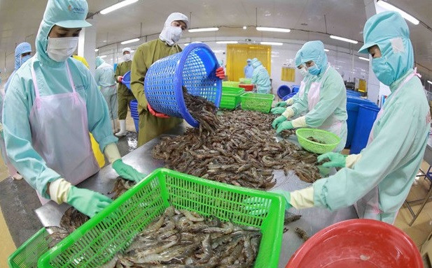Seafood export takes larger bite out of foreign markets ảnh 2