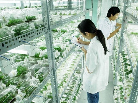 Hi-tech zones aim to improve farming sector ảnh 1 Hi-tech zones aim to improve farming sector ảnh 1