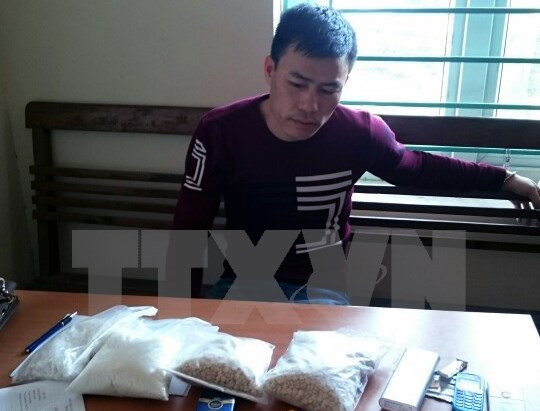 Vietnam, Laos sign MoU on drug prevention ảnh 1