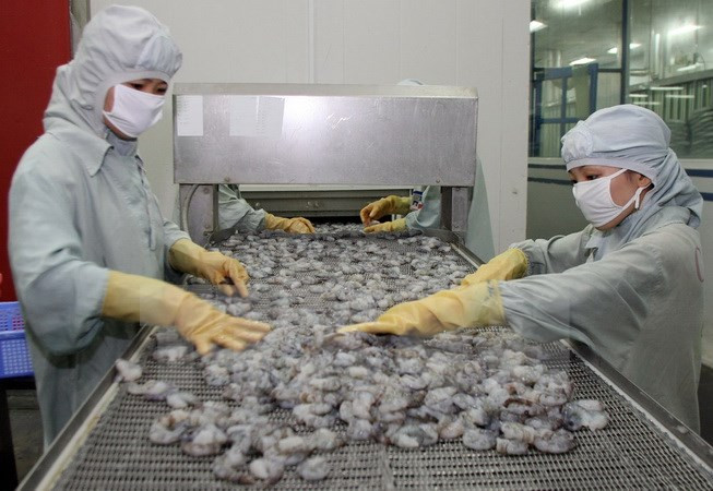 Yearly shrimp export could drop by 1 billion USD ảnh 1