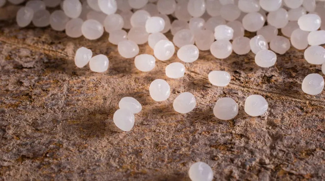 Thailand world’s second-largest producer of bioplastic products: TBIA ảnh 1