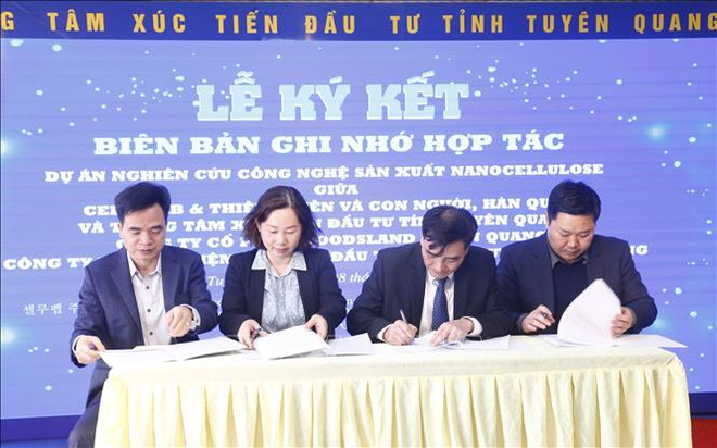 Tuyen Quang sets sights on developing nanocellulose production technology ảnh 1