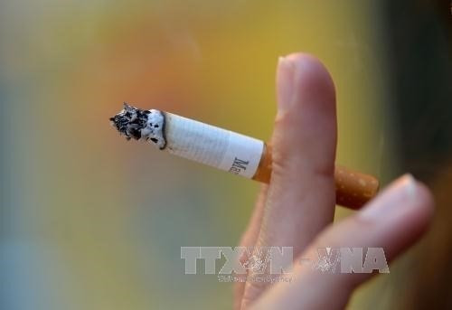 Ministry proposes a hike in special consumption tax on cigarettes, beer, spirits ảnh 1