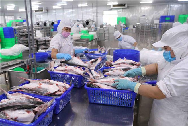 Door wide open for processed, manufactured products to enter UAE ảnh 1 Door wide open for processed, manufactured products to enter UAE ảnh 1
