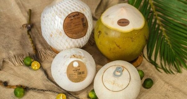 Positive outlook for Vietnam's coconut exports: experts ảnh 1 Positive outlook for Vietnam's coconut exports: experts ảnh 1