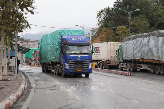 Agro-forestry-aquatic product exports up 5.7% in February ảnh 2